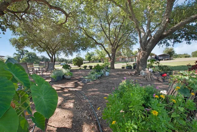 a view of garden with plants and trees