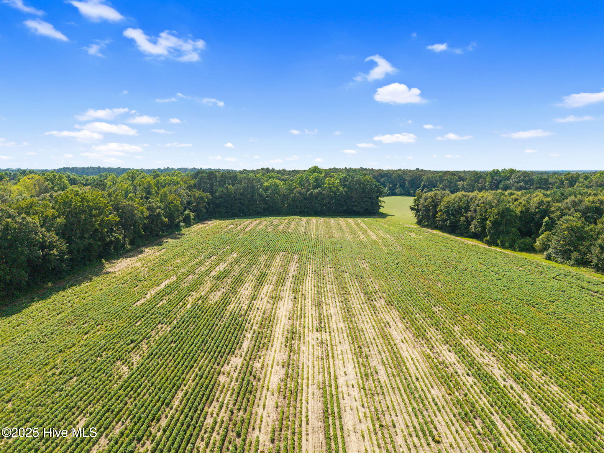 0 Doodle Hill Road Cerro Gordo, NC 28430 - Photo 11 of 19 13-web-or-mls-CAMMediaLLC.com (13 of 19)