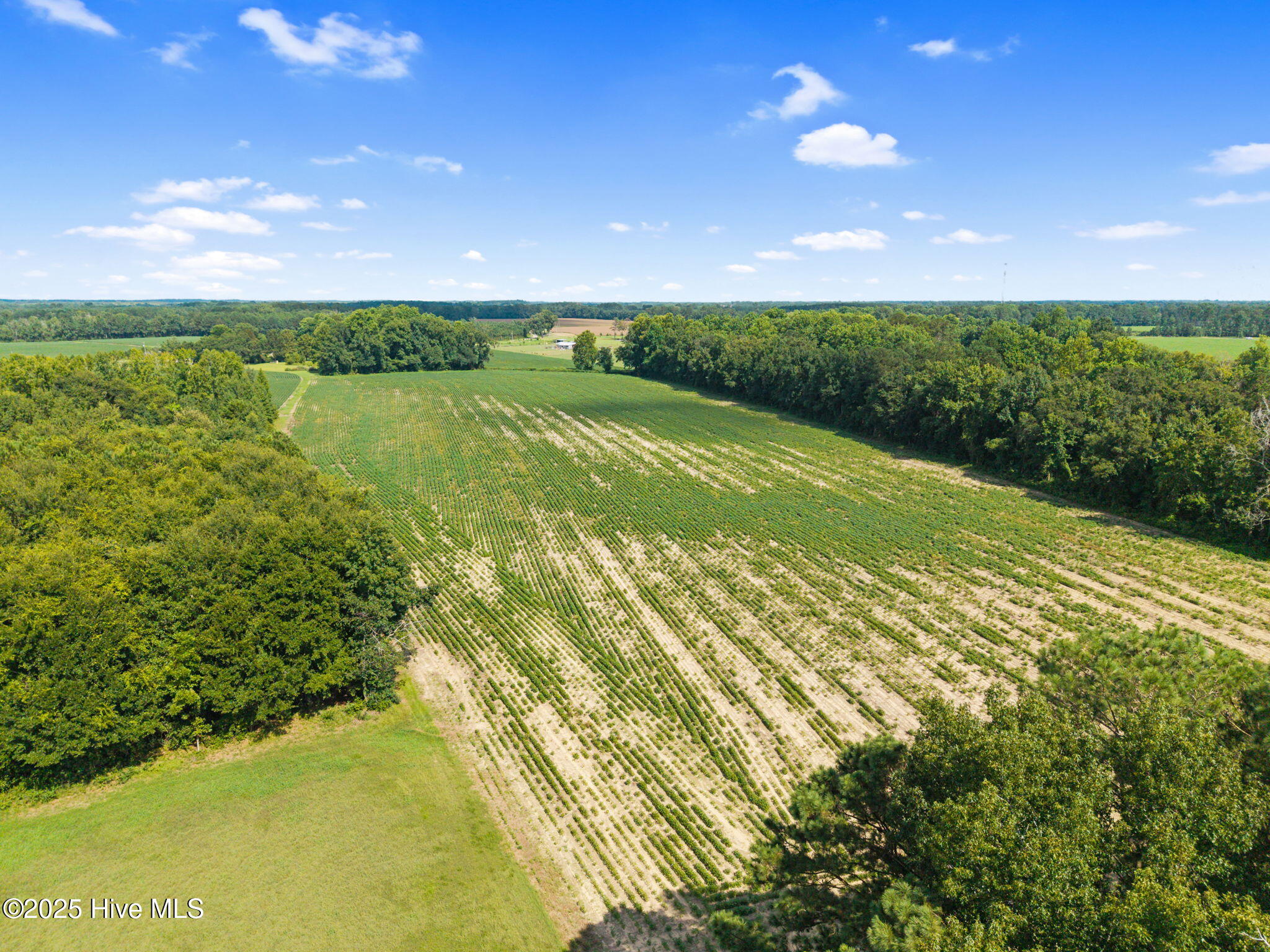 0 Doodle Hill Road Cerro Gordo, NC 28430 - Photo 12 of 19 14-web-or-mls-CAMMediaLLC.com (14 of 19)