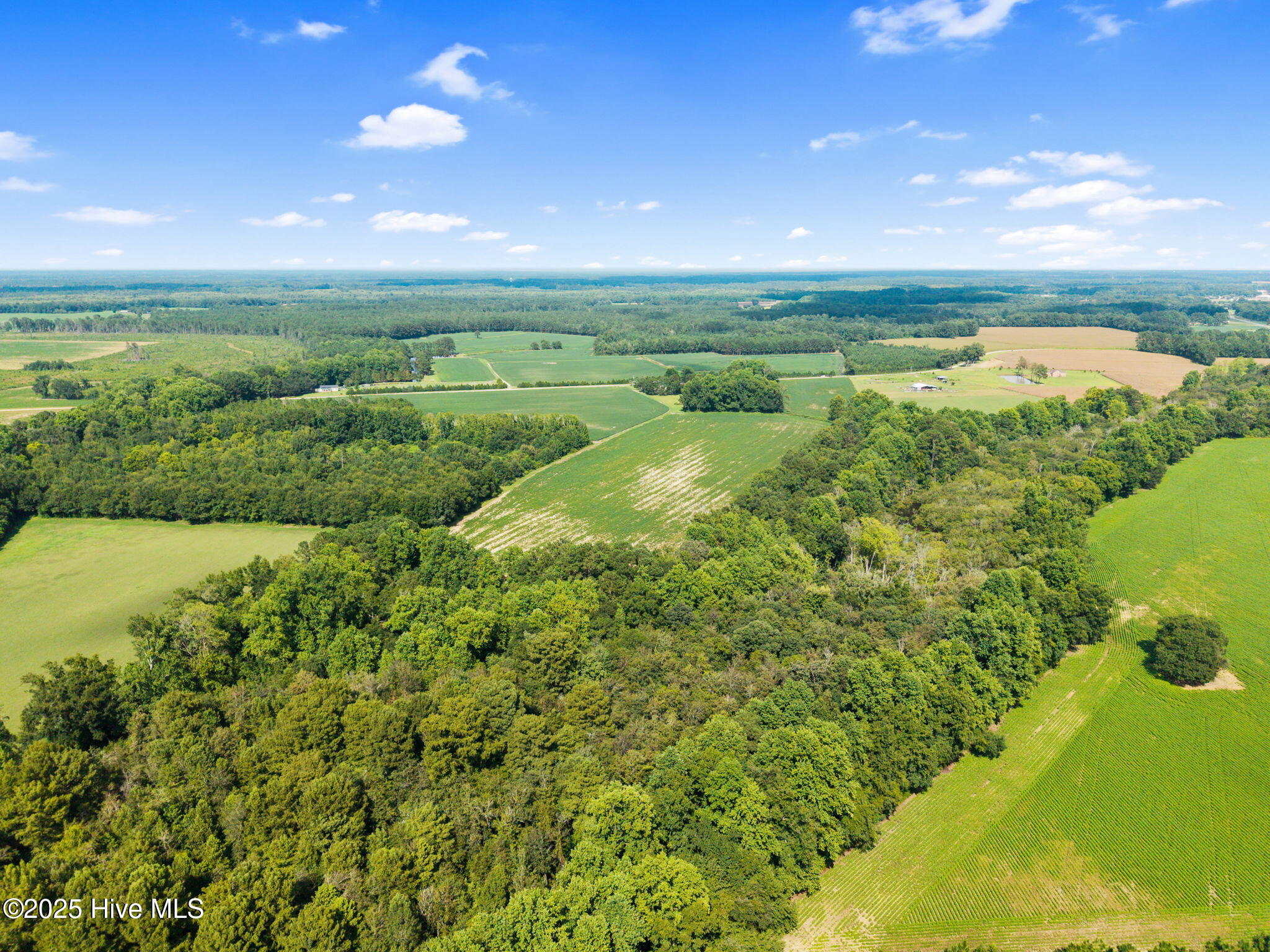 0 Doodle Hill Road Cerro Gordo, NC 28430 - Photo 13 of 19 15-web-or-mls-CAMMediaLLC.com (15 of 19)