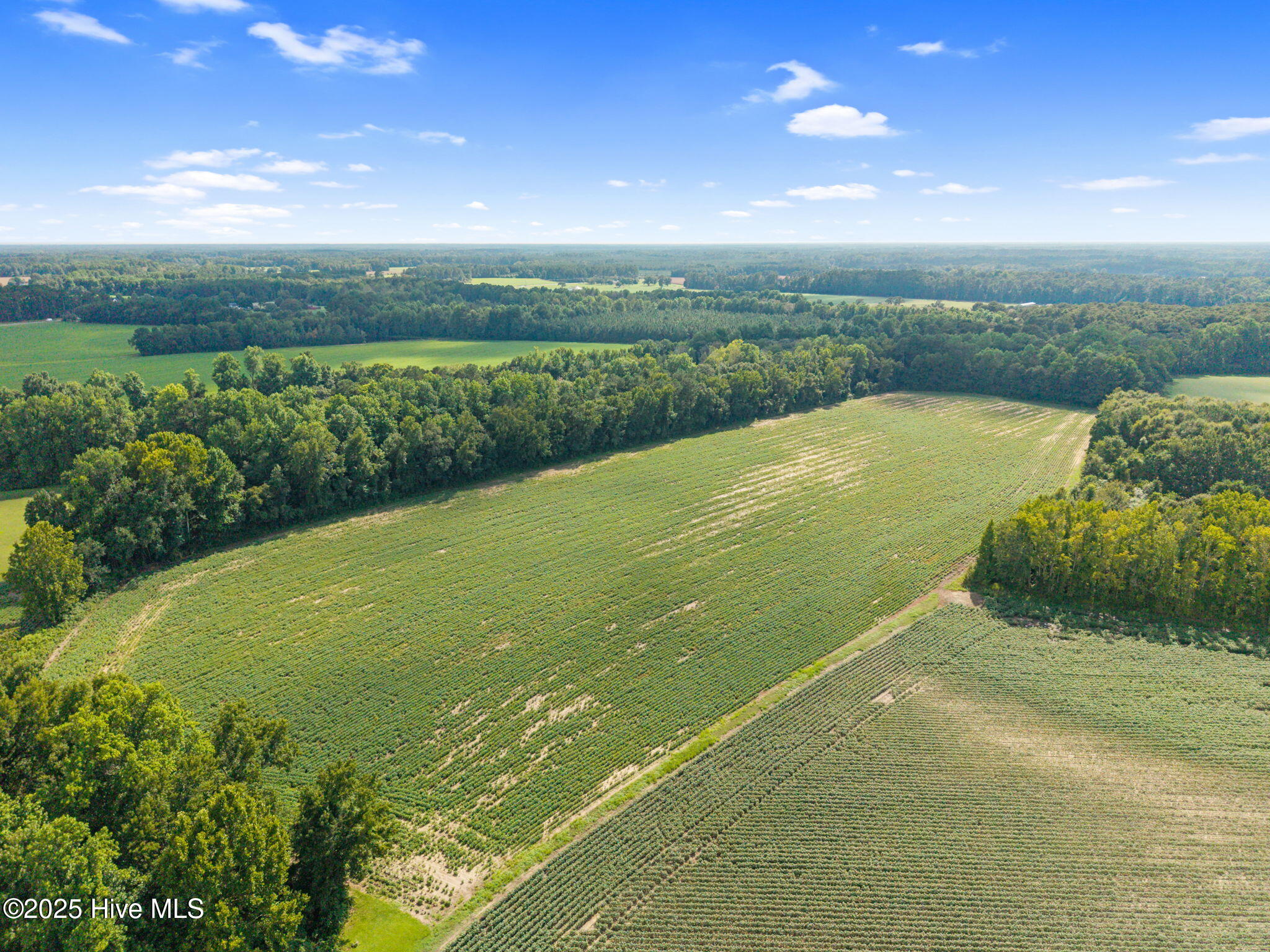 0 Doodle Hill Road Cerro Gordo, NC 28430 - Photo 14 of 19 16-web-or-mls-CAMMediaLLC.com (16 of 19)