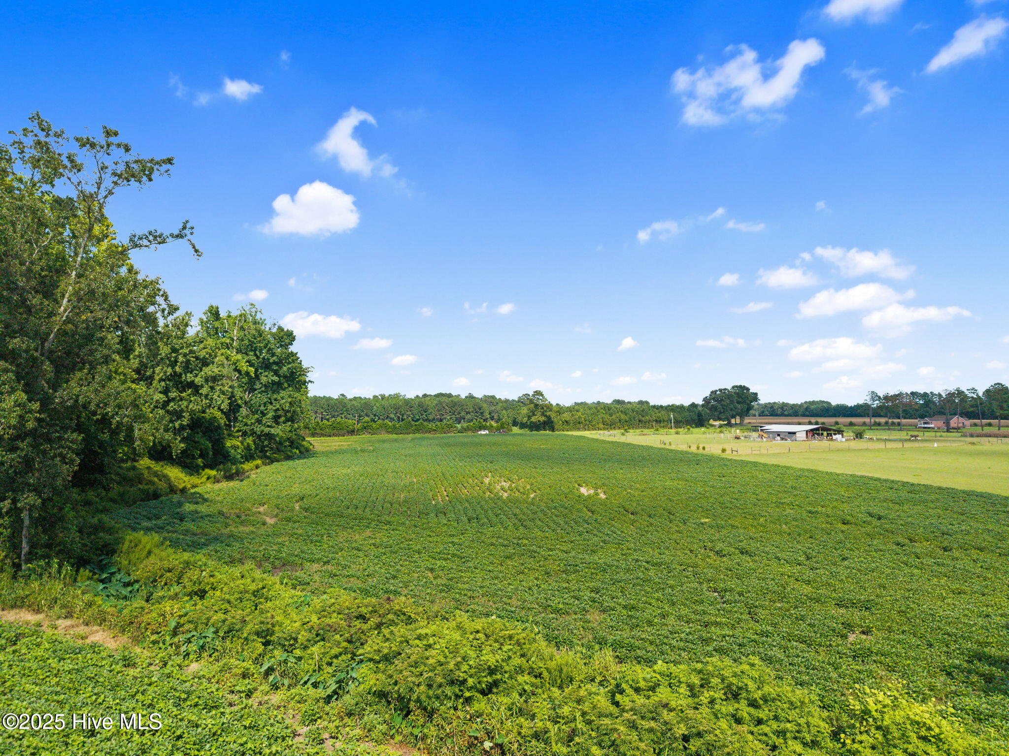 0 Doodle Hill Road Cerro Gordo, NC 28430 - Photo 15 of 19 17-web-or-mls-CAMMediaLLC.com (17 of 19)