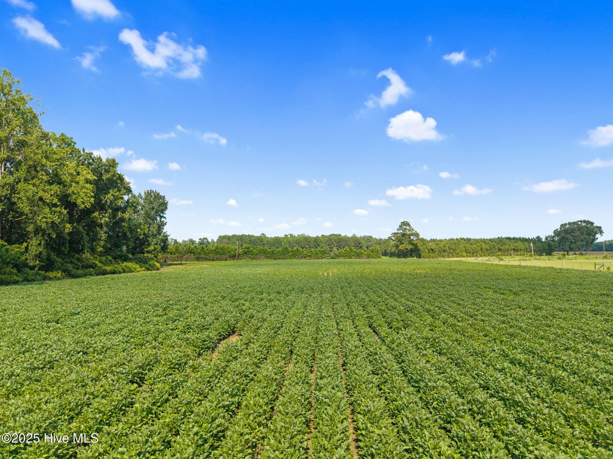 0 Doodle Hill Road Cerro Gordo, NC 28430 - Photo 16 of 19 18-web-or-mls-CAMMediaLLC.com (18 of 19)