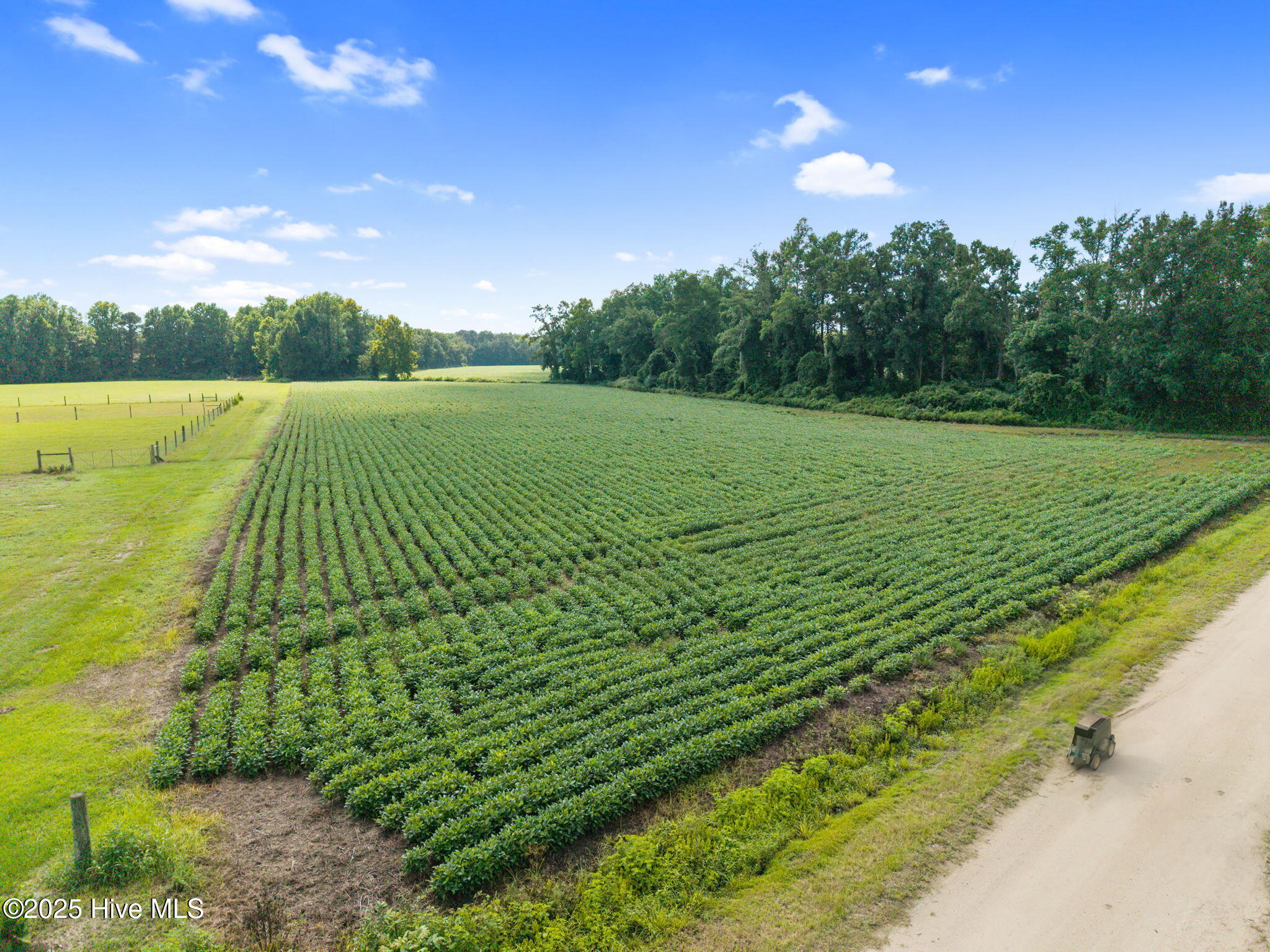 0 Doodle Hill Road Cerro Gordo, NC 28430 - Photo 17 of 19 19-web-or-mls-CAMMediaLLC.com (19 of 19)