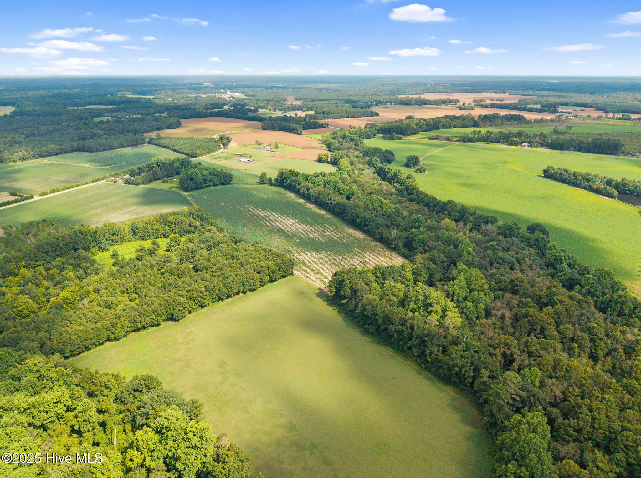 0 Doodle Hill Road Cerro Gordo, NC 28430 - Photo 4 of 19 5-web-or-mls-CAMMediaLLC.com (5 of 19)
