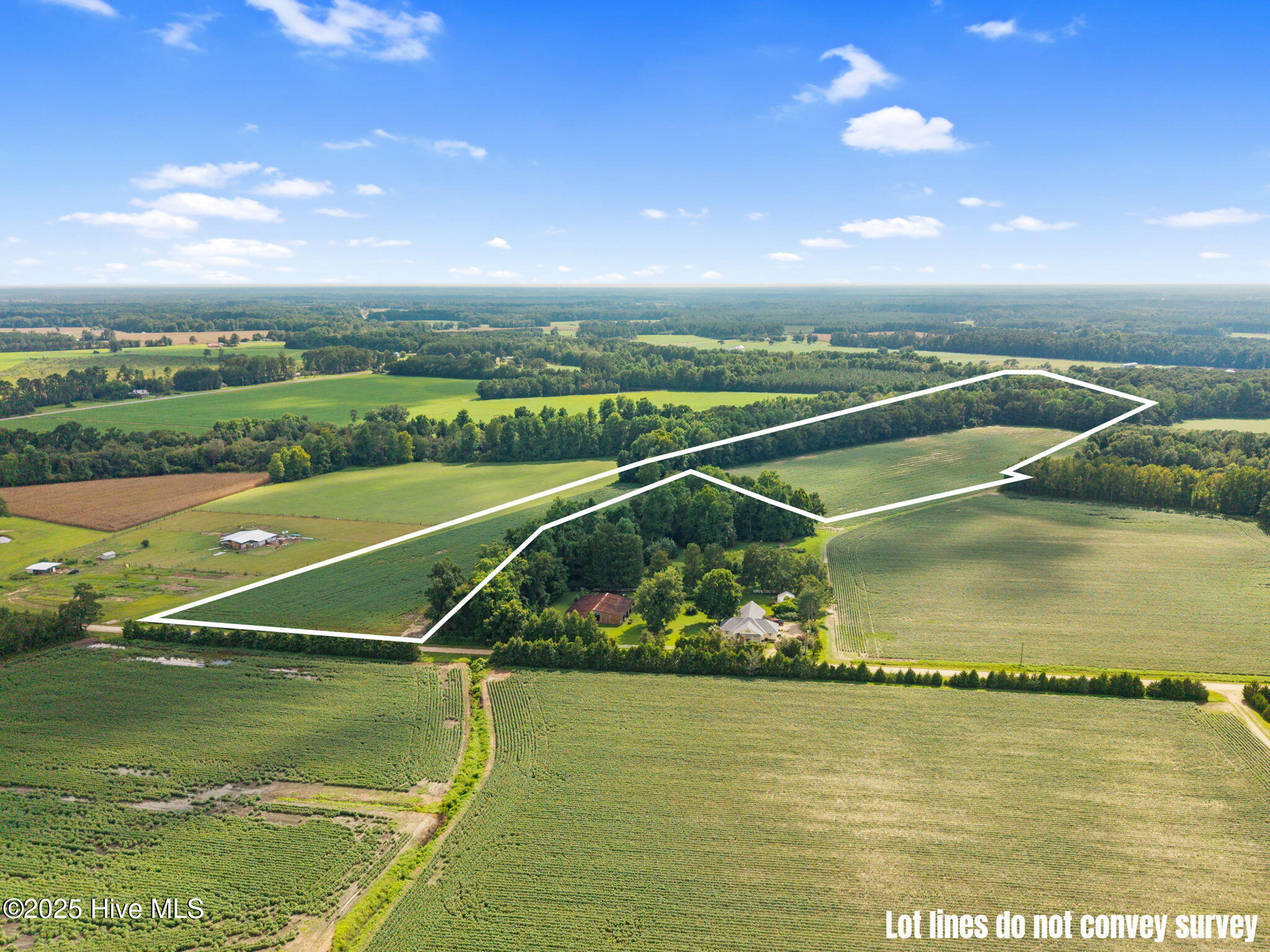 0 Doodle Hill Road Cerro Gordo, NC 28430 - Photo 5 of 19 6-web-or-mls-CAMMediaLLC.com (6 of 19)