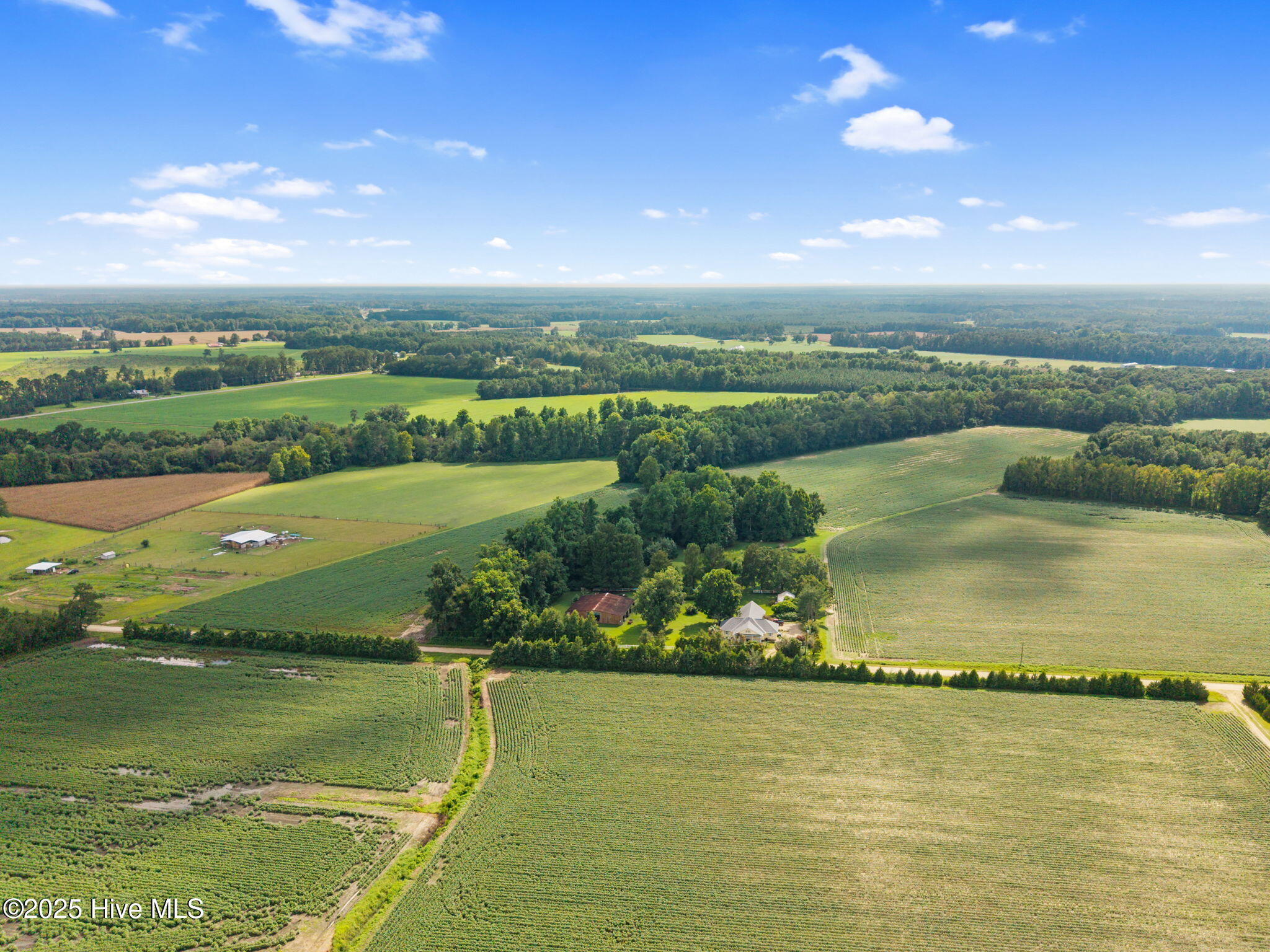 0 Doodle Hill Road Cerro Gordo, NC 28430 - Photo 6 of 19 7-web-or-mls-CAMMediaLLC.com (7 of 19)