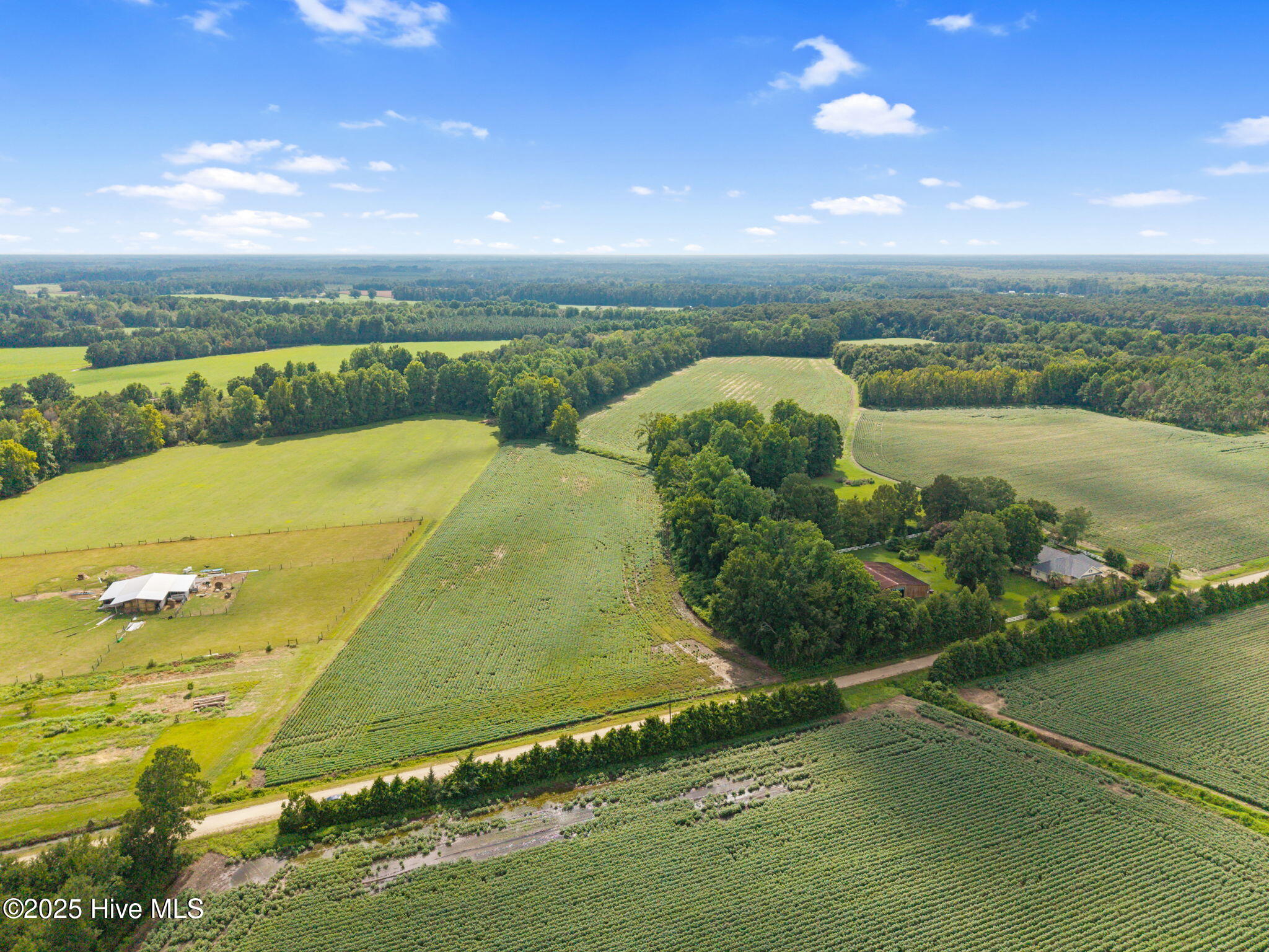 0 Doodle Hill Road Cerro Gordo, NC 28430 - Photo 7 of 19 9-web-or-mls-CAMMediaLLC.com (9 of 19)
