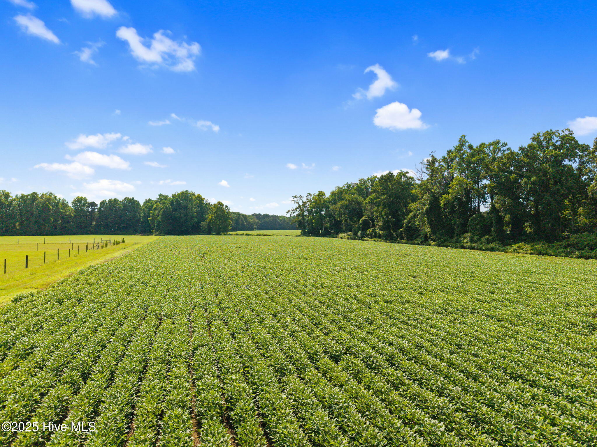 0 Doodle Hill Road Cerro Gordo, NC 28430 - Photo 8 of 19 10-web-or-mls-CAMMediaLLC.com (10 of 19)