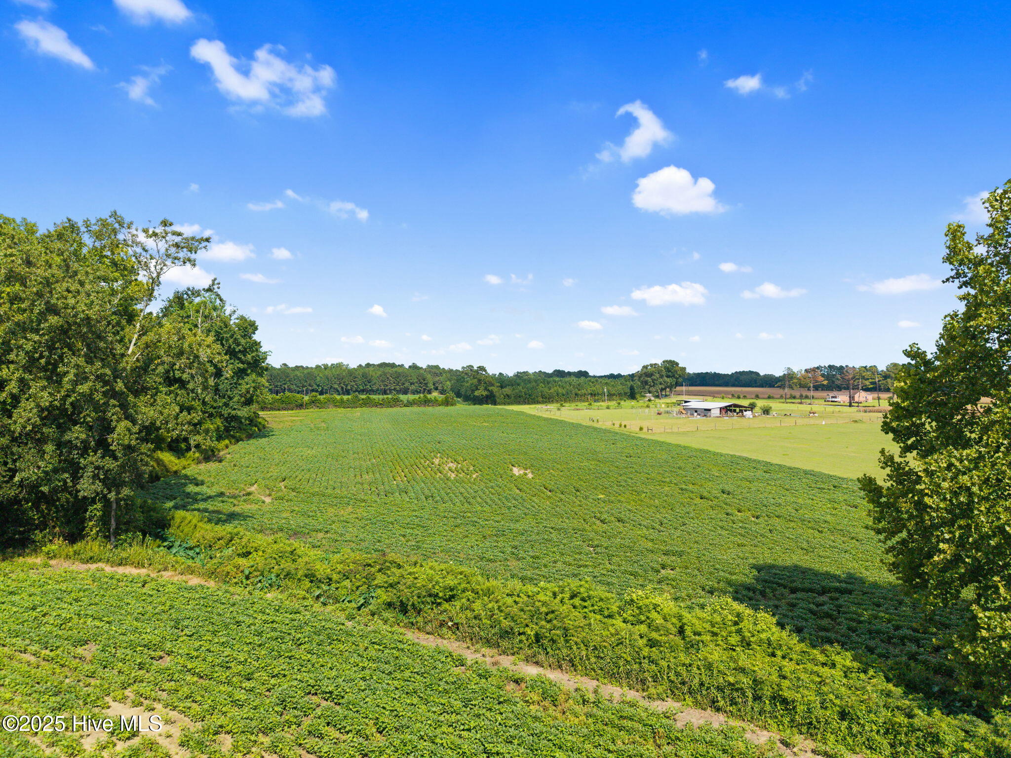 0 Doodle Hill Road Cerro Gordo, NC 28430 - Photo 10 of 19 12-web-or-mls-CAMMediaLLC.com (12 of 19)