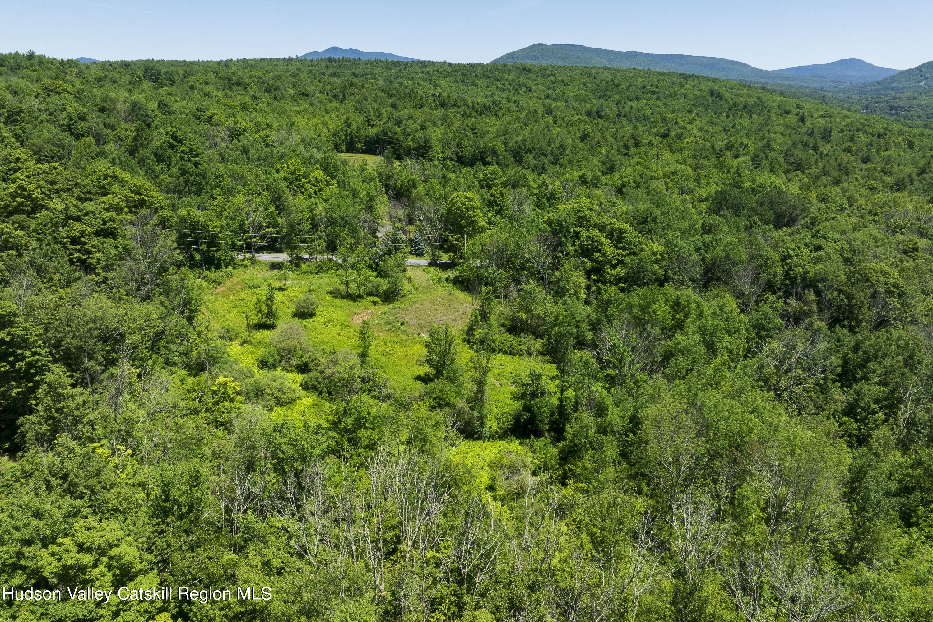 201 Cloos Road Jewett, NY 12442 - Photo 4 of 10 B