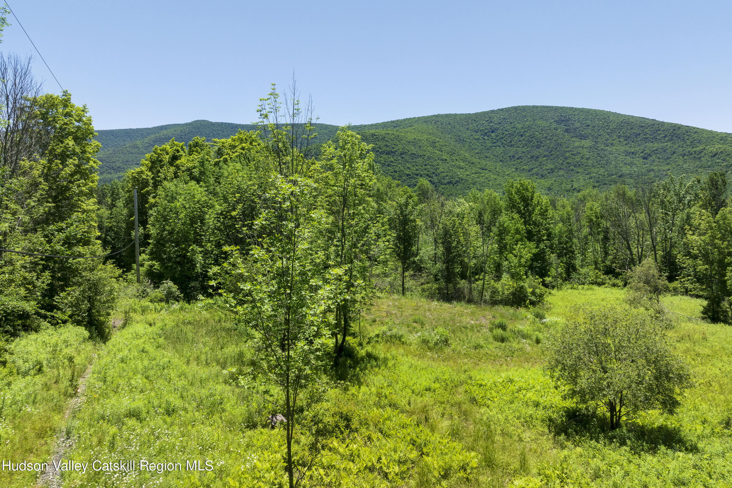 201 Cloos Road Jewett, NY 12442 - Photo 5 of 10 C