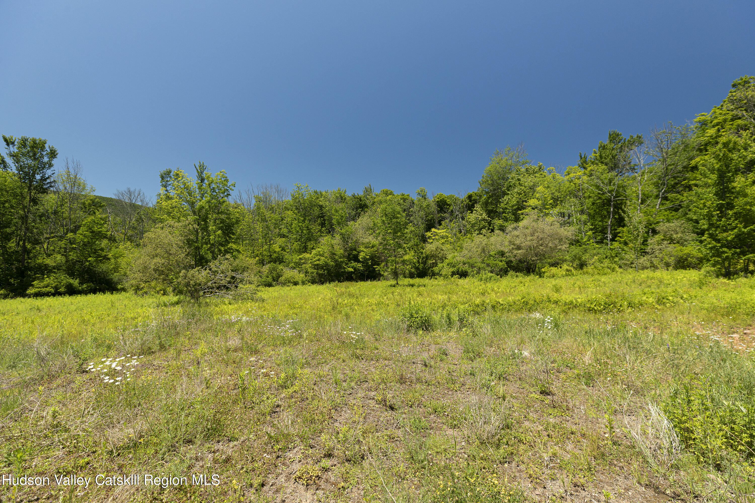 201 Cloos Road Jewett, NY 12442 - Photo 6 of 10 D