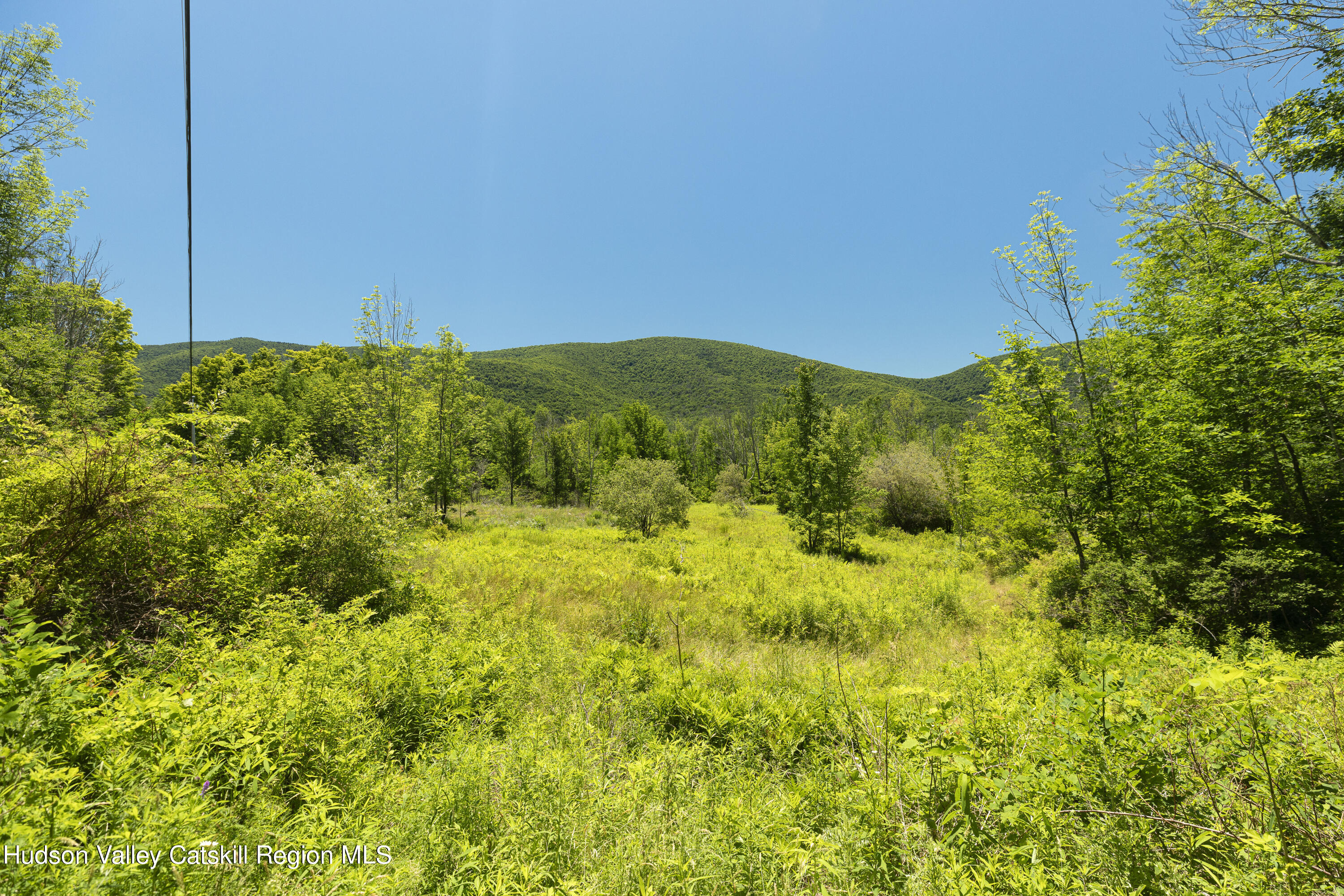 201 Cloos Road Jewett, NY 12442 - Photo 7 of 10 E