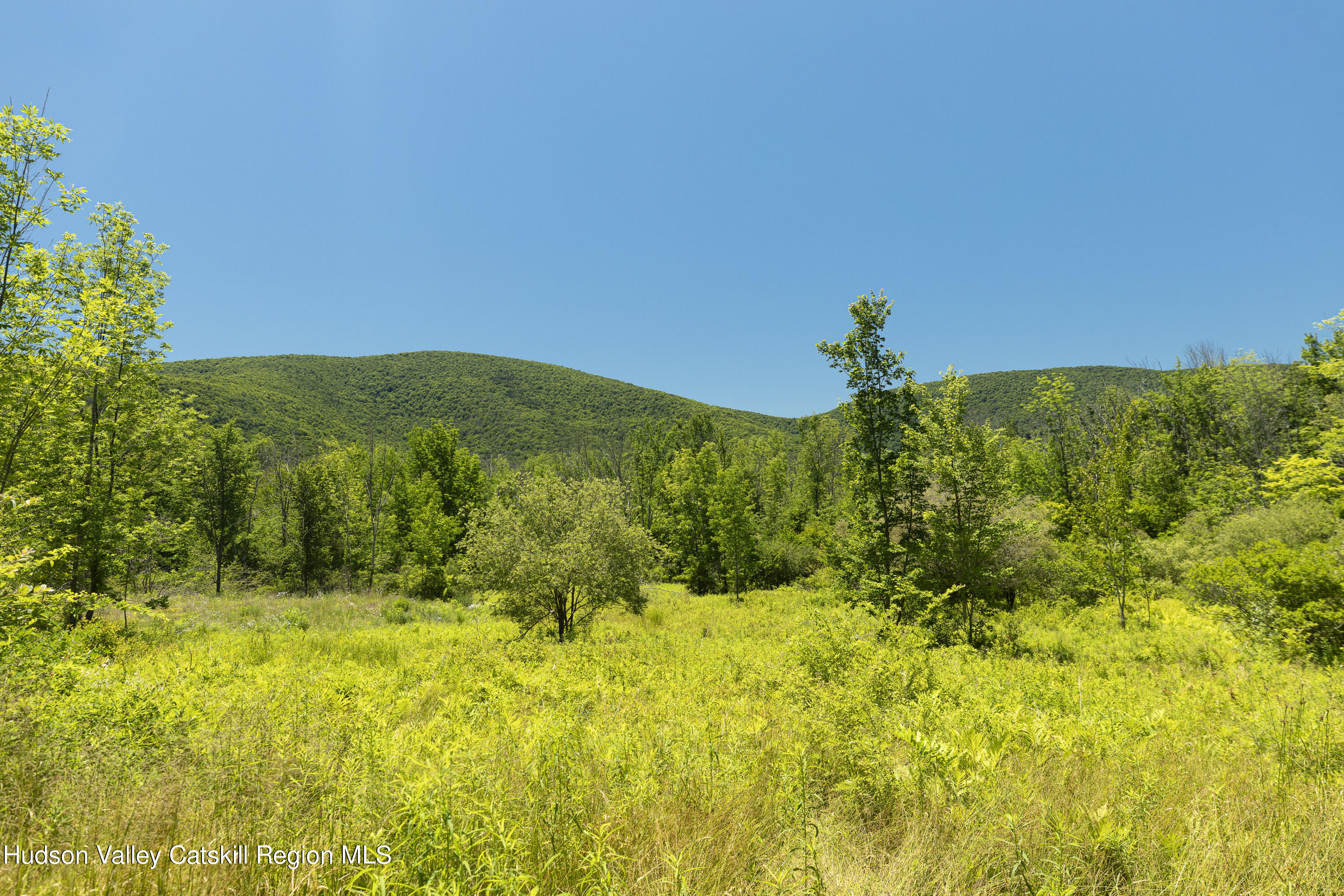 201 Cloos Road Jewett, NY 12442 - Photo 8 of 10 F