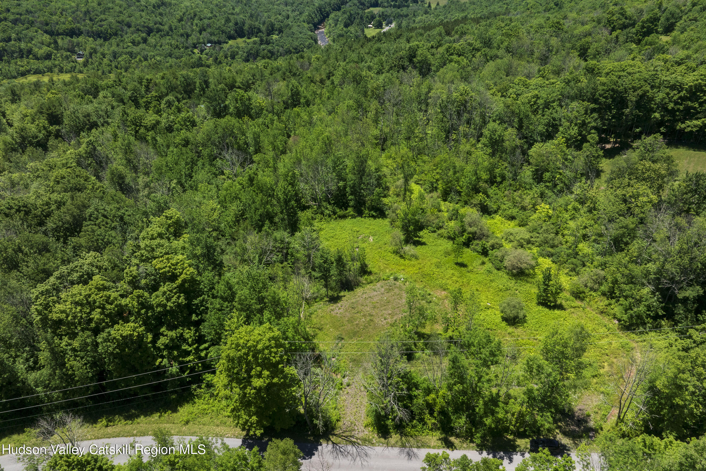 201 Cloos Road Jewett, NY 12442 - Photo 9 of 10 G