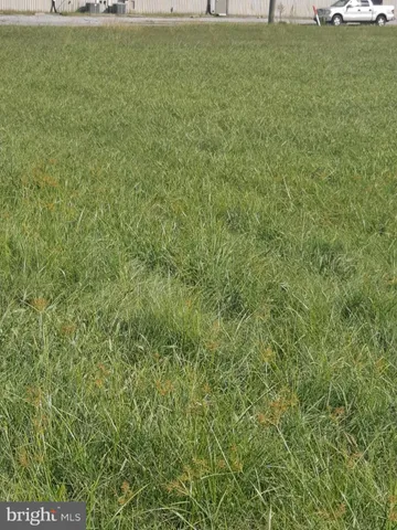 a view of a field of grass and trees