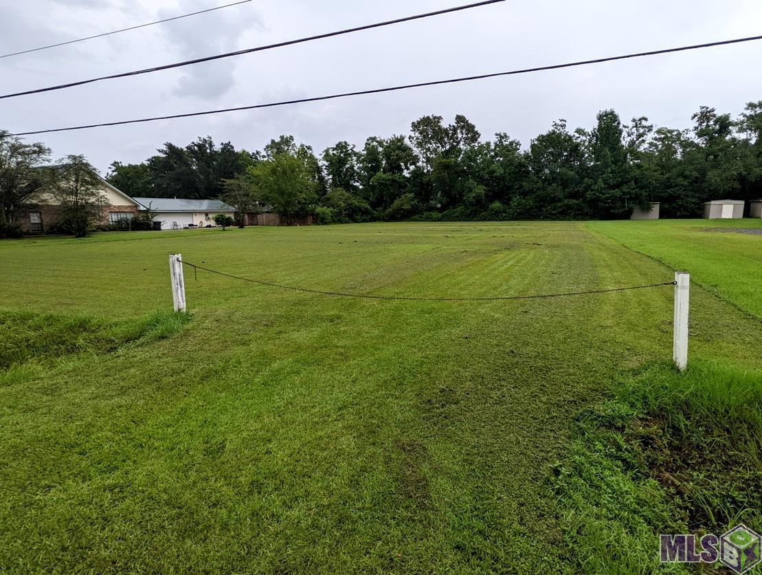 Tbd Turry Road Gonzales, LA 70737 - Photo 1 of 4 View From Road