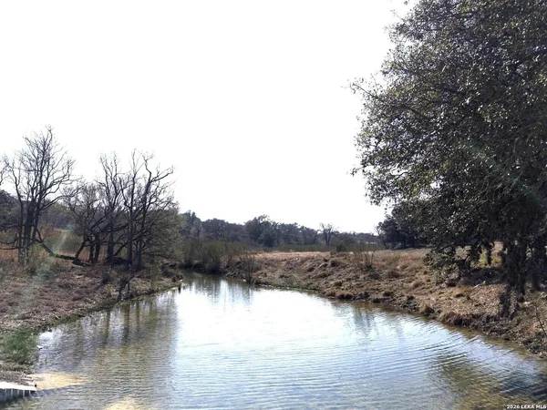 a view of river covered with trees