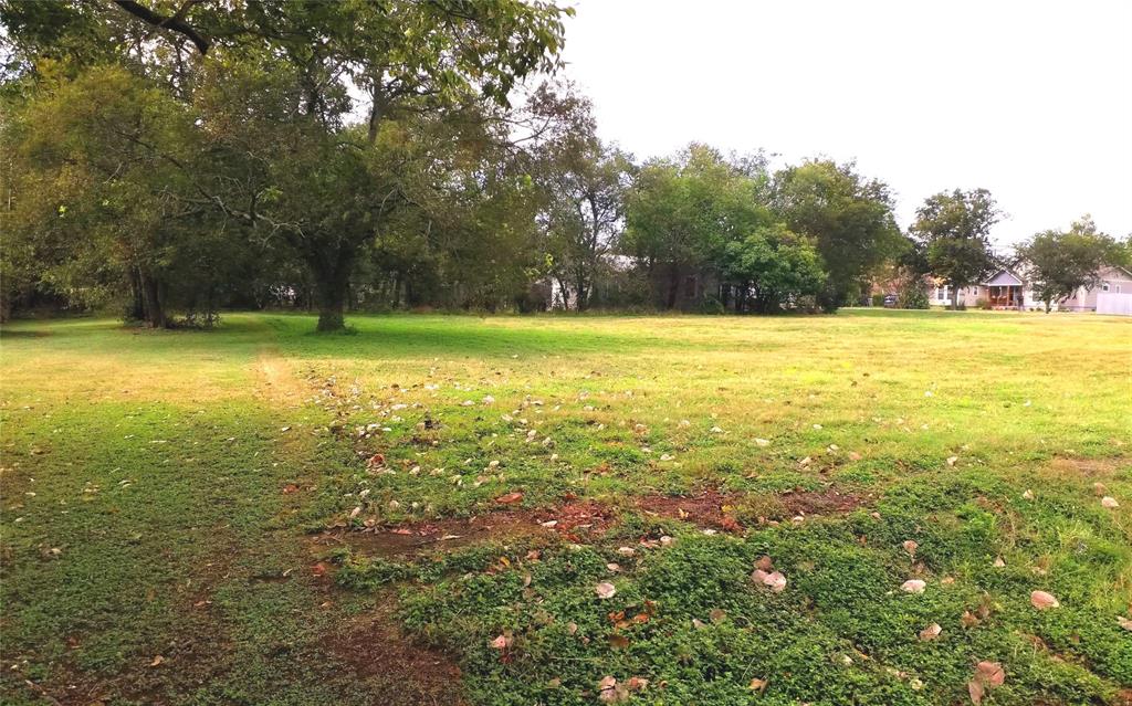 301 4th Street Eddy, TX 76524 - Photo 2 of 5 View of green lawn