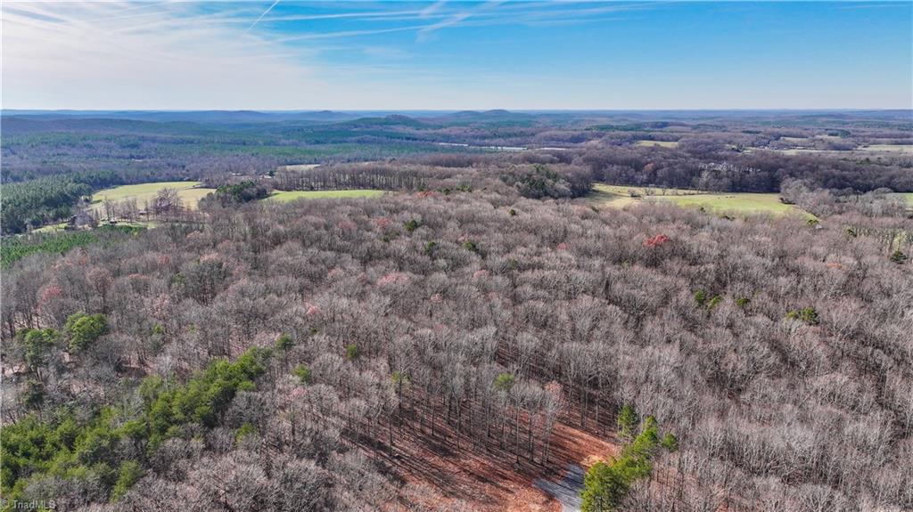 463 Golfcrest Road Denton, NC 27239 - Photo 1 of 6 Looking to build that DREAM HOME?