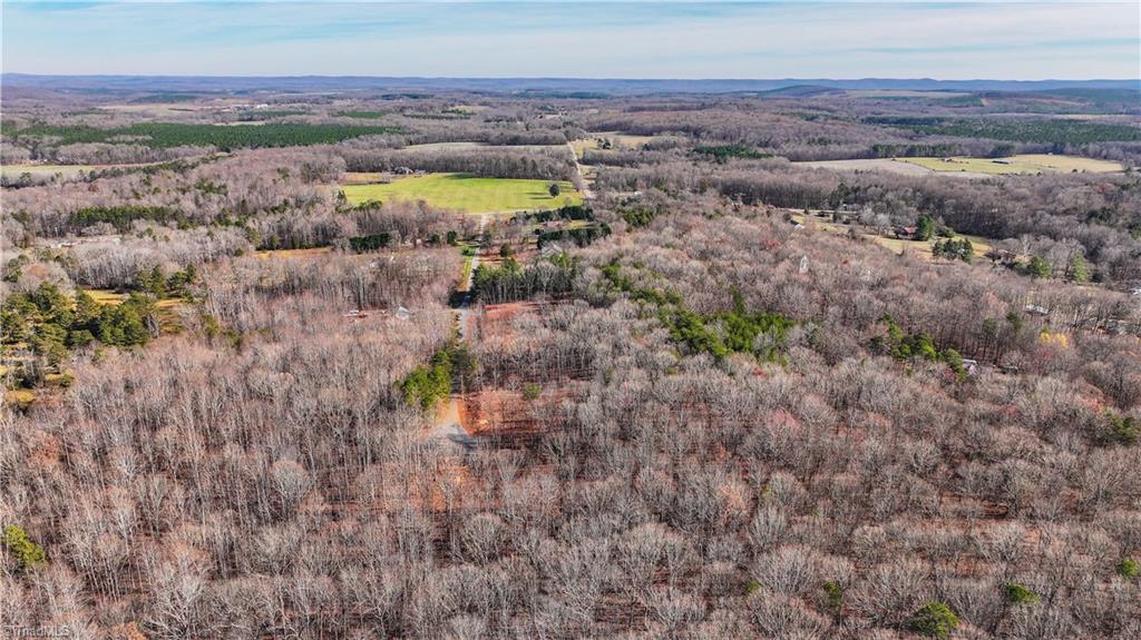 463 Golfcrest Road Denton, NC 27239 - Photo 4 of 6 Wooded Serene Privacy within a small community