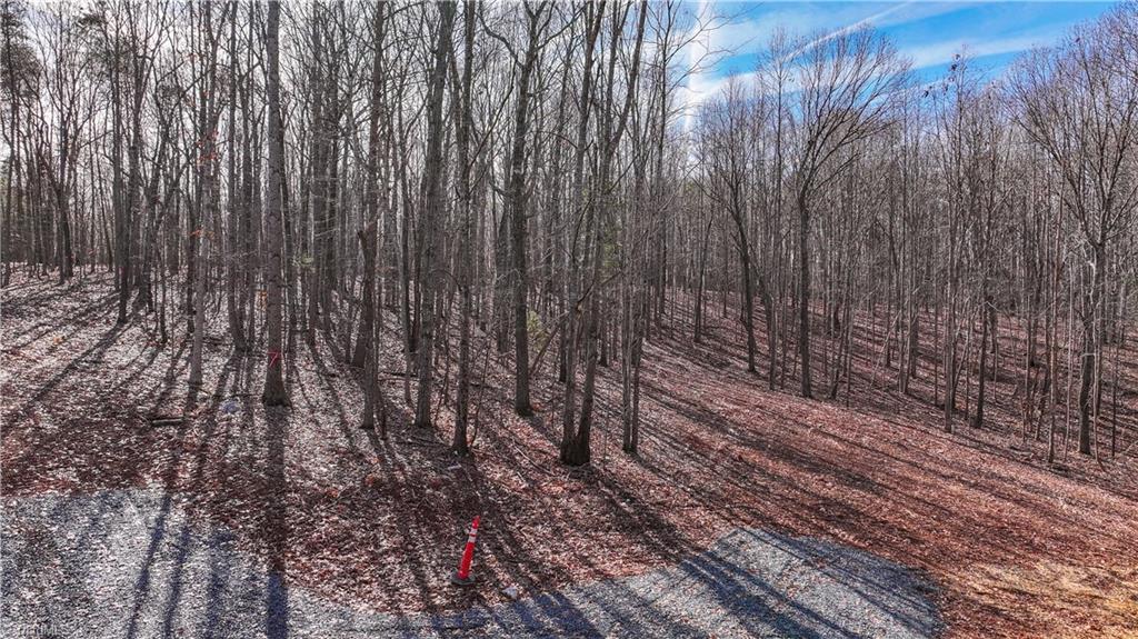 463 Golfcrest Road Denton, NC 27239 - Photo 5 of 6 Wooded lot, but graded for your new build!