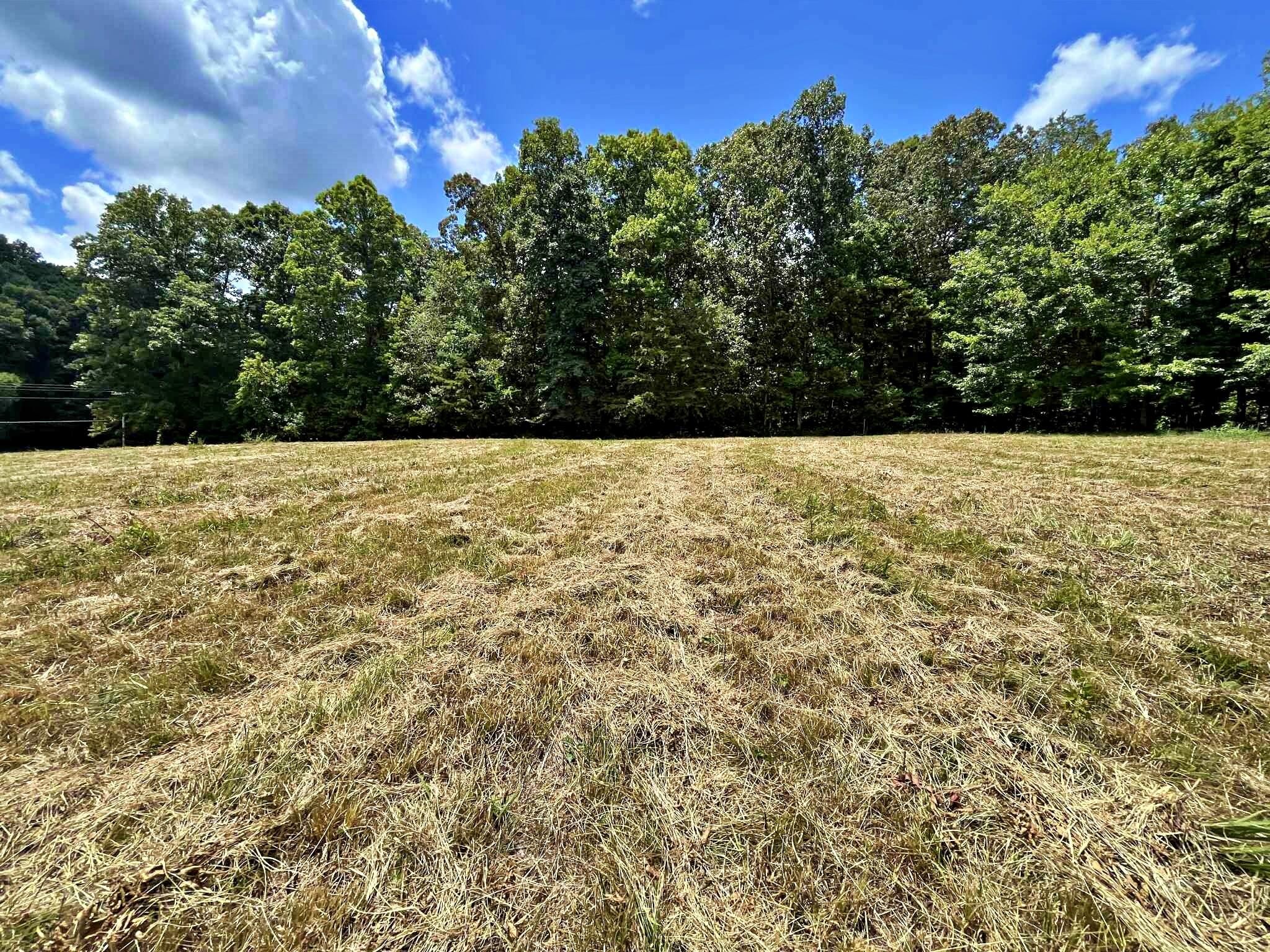 2 Keylon Hollow Road Ten Mile, TN 37880 - Photo 5 of 10