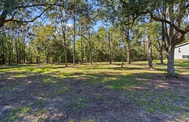a view of an empty room with window and fireplace