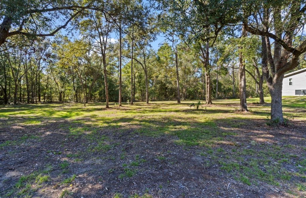 7990 Northeast 121 Street Bronson, FL 32621 - Photo 10 of 34