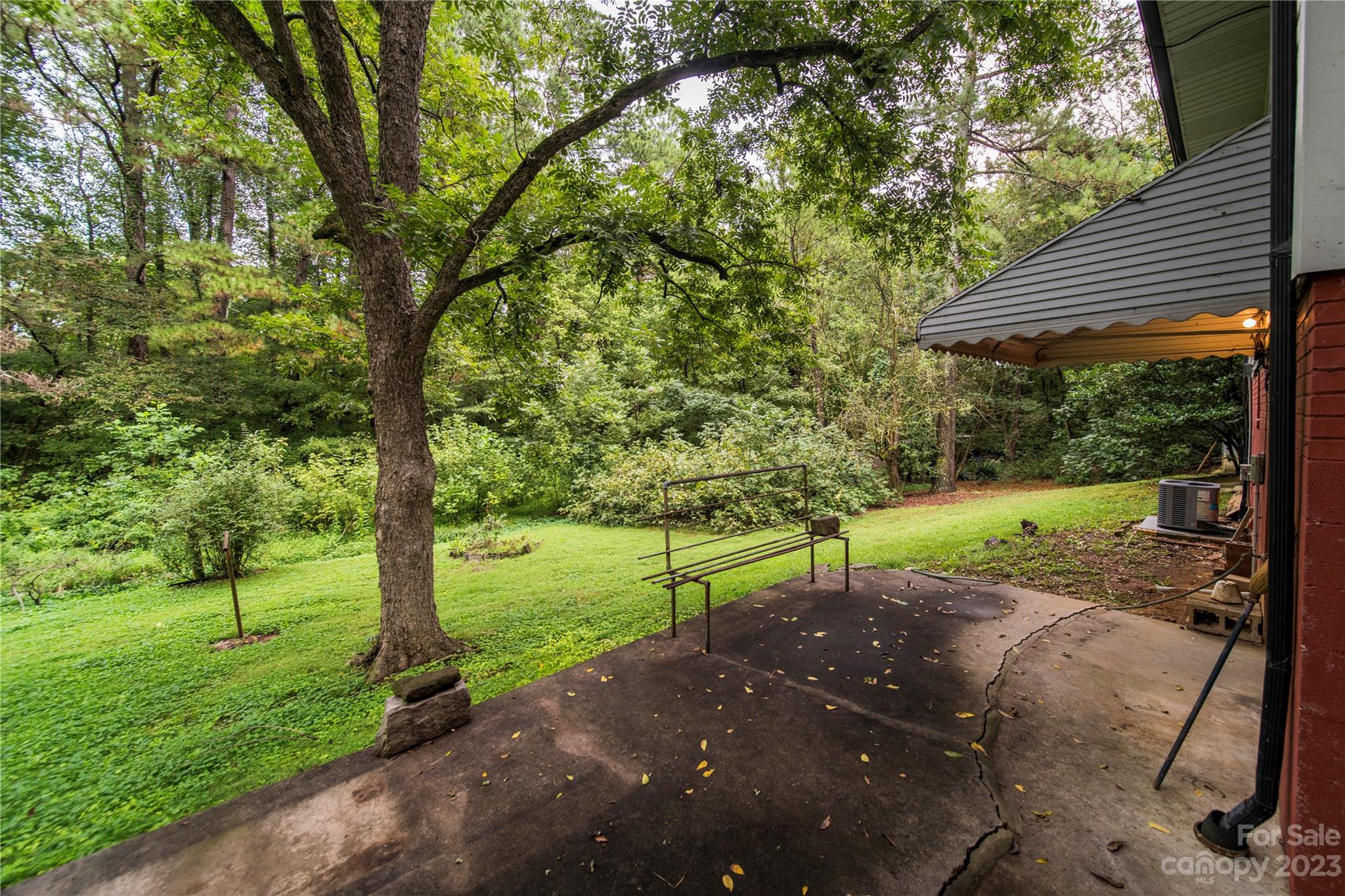 3980 Woodleaf Road Salisbury, NC 28147 - Photo 31 of 34 a view of a yard with plants and large tree