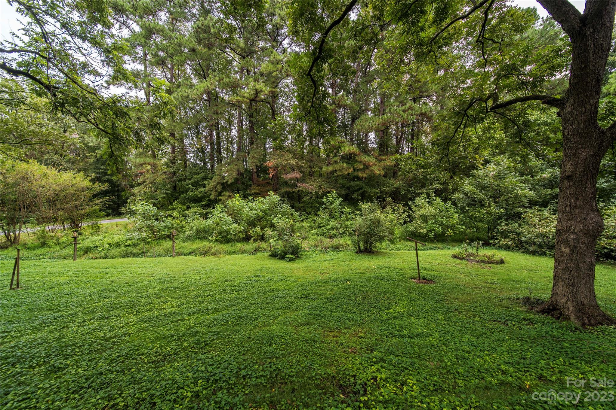 3980 Woodleaf Road Salisbury, NC 28147 - Photo 32 of 34 a view of a park with large trees