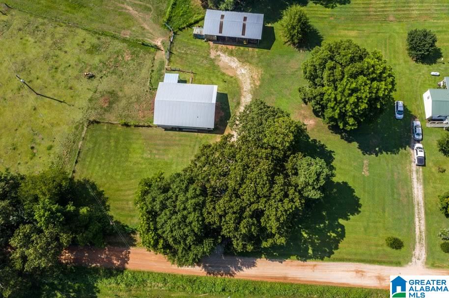 1256 County Road 643 Ranburne, AL 36273 - Photo 32 of 50