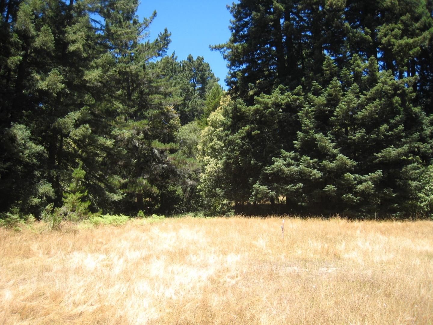 373 Summit Road Corralitos, CA 95076 - Photo 26 of 31 Gallery Image 26