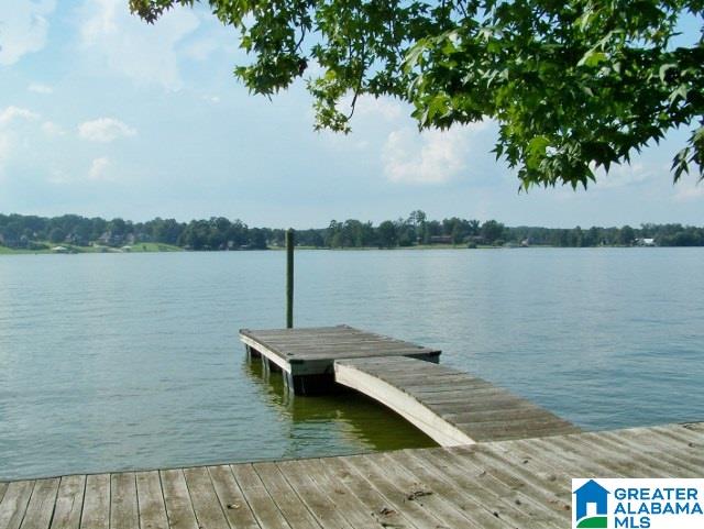 6089 Rainbow Row Pell City, AL 35128 - Photo 46 of 50