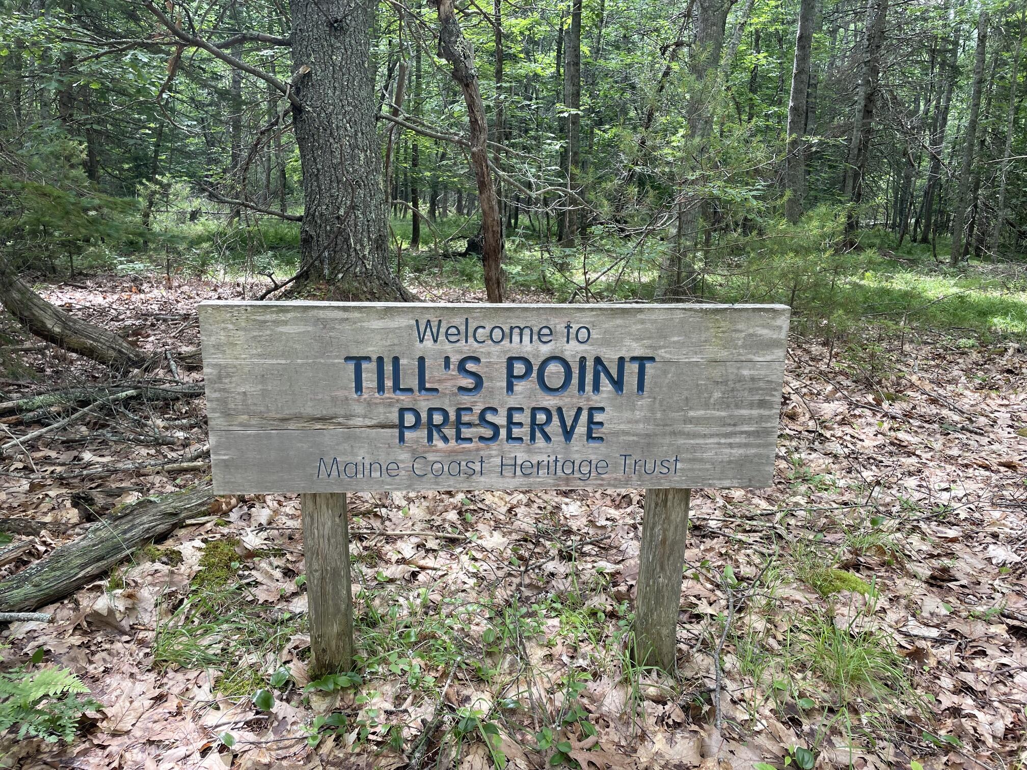 101 Wardwell Point Road Penobscot, ME 04476 - Photo 41 of 44 101 Wardwell