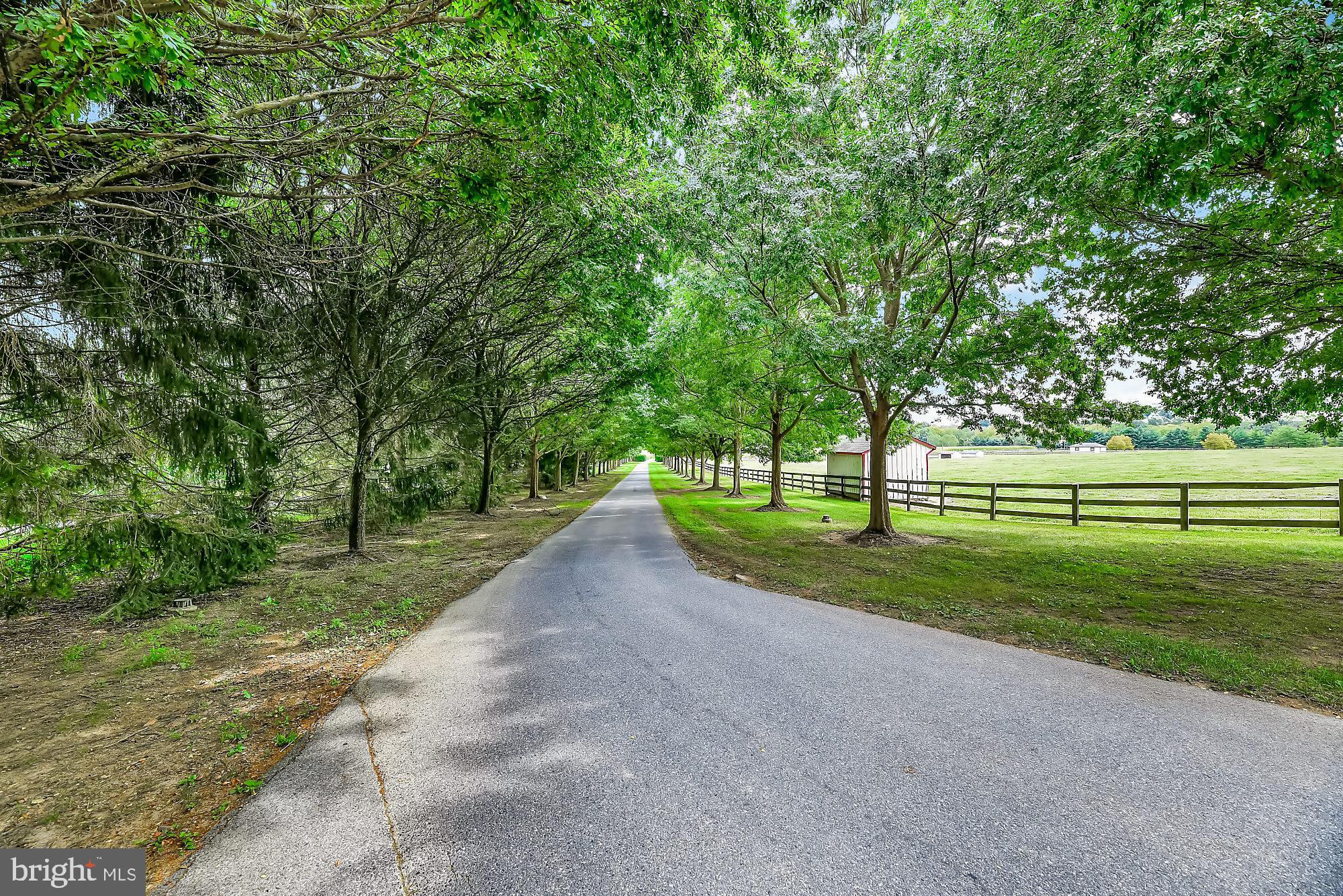 13224 Longnecker Road Glyndon, MD 21136 - Photo 4 of 58 Long tree lined drive