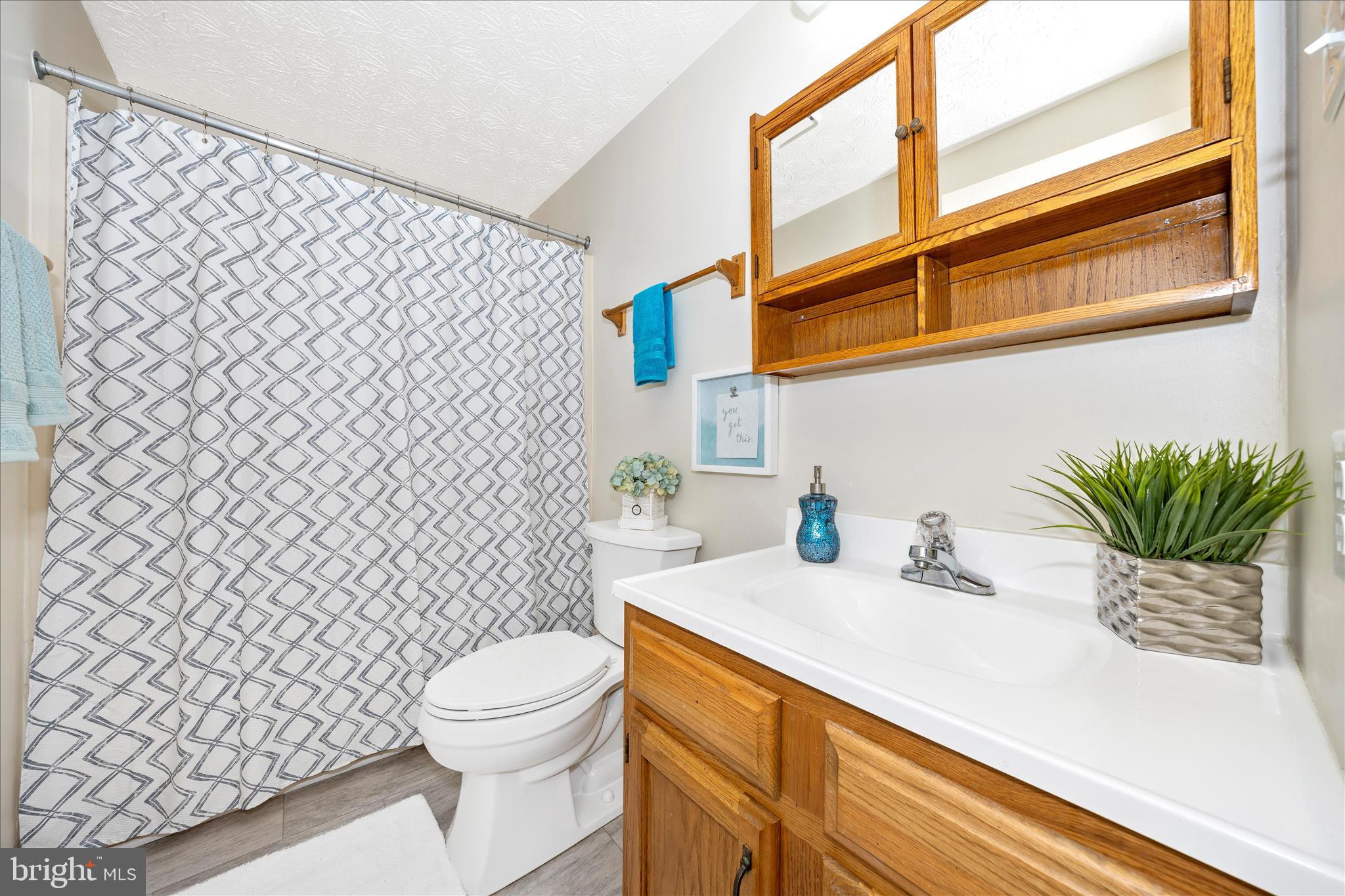 3 Contour Road Mount Airy, MD 21771 - Photo 26 of 54 a bathroom with a sink a toilet and a mirror