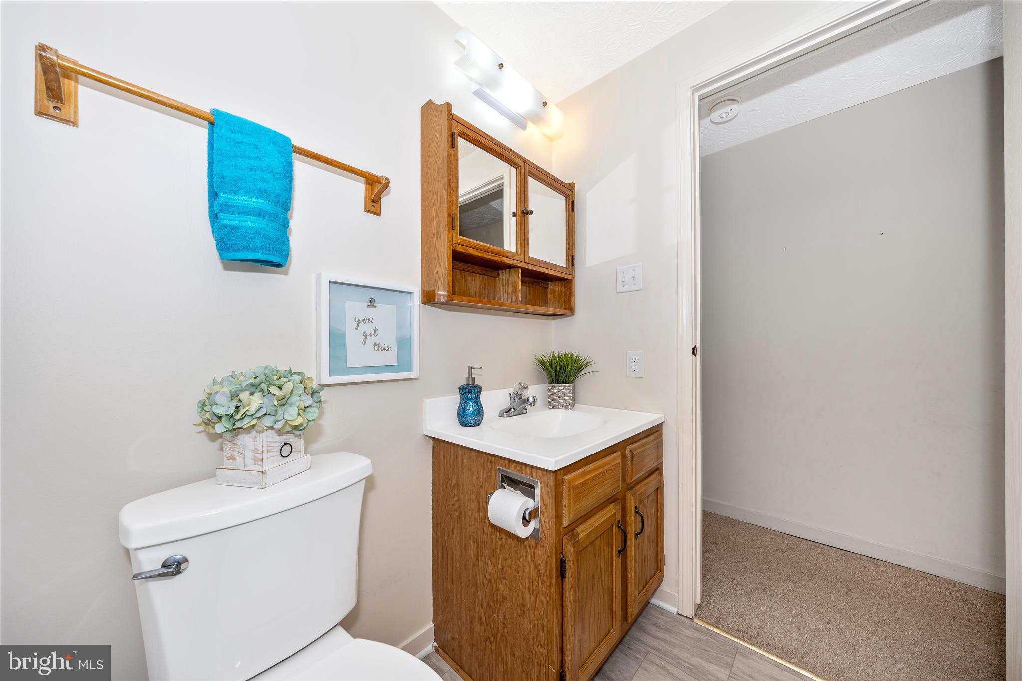 3 Contour Road Mount Airy, MD 21771 - Photo 27 of 54 a bathroom with a sink a mirror and a toilet