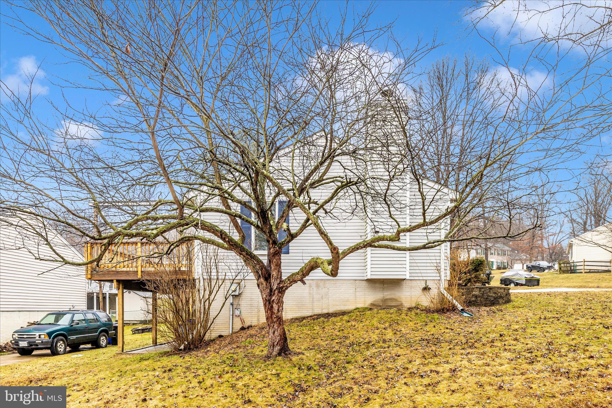 3 Contour Road Mount Airy, MD 21771 - Photo 46 of 54 a tree in the middle of a yard