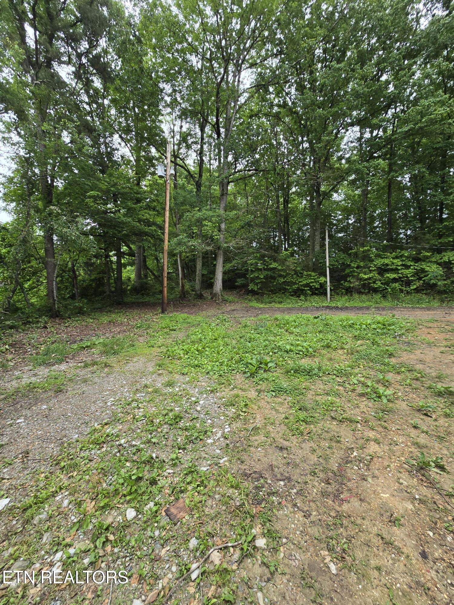 689 Ivey Hollow Road La Follette, TN 37766 - Photo 6 of 12 1000007090