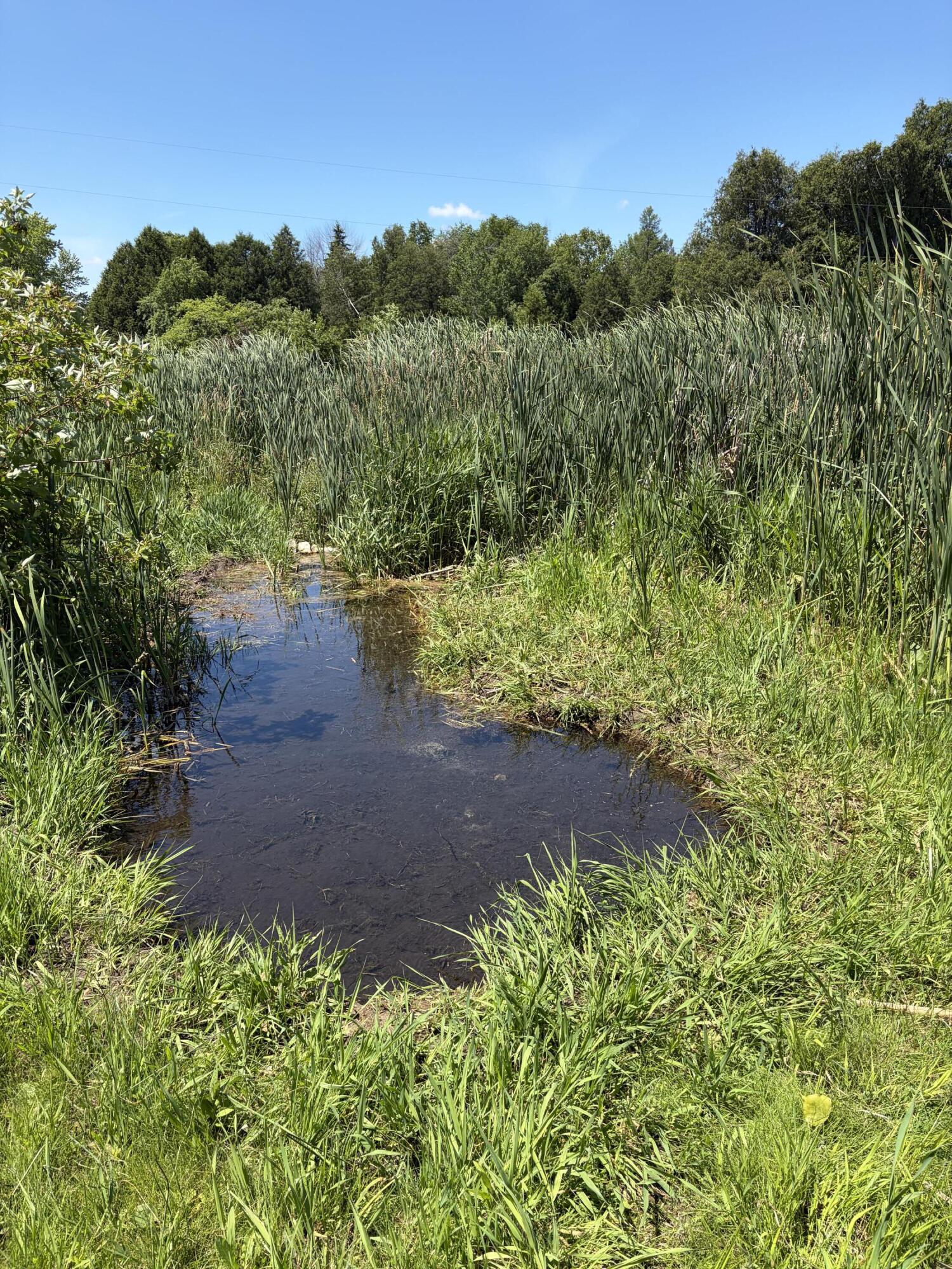 11607 Schad Road Schleswig, WI 53042 - Photo 7 of 37 pond 2
