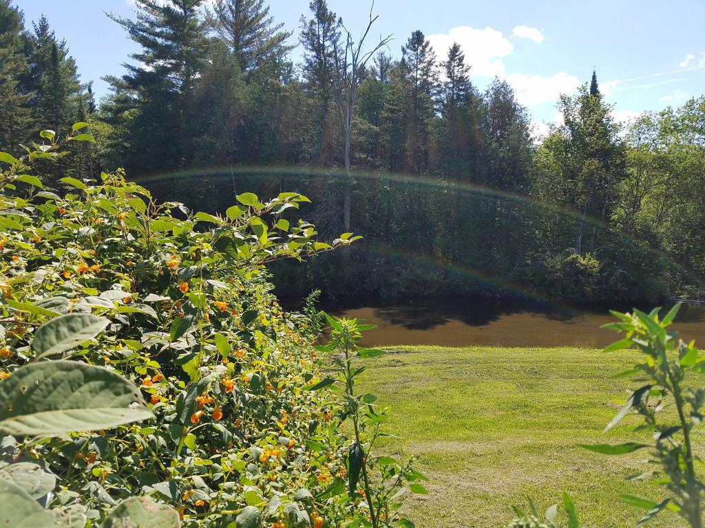 1738 Vt Route Marshfield, VT 05658 - Photo 24 of 27