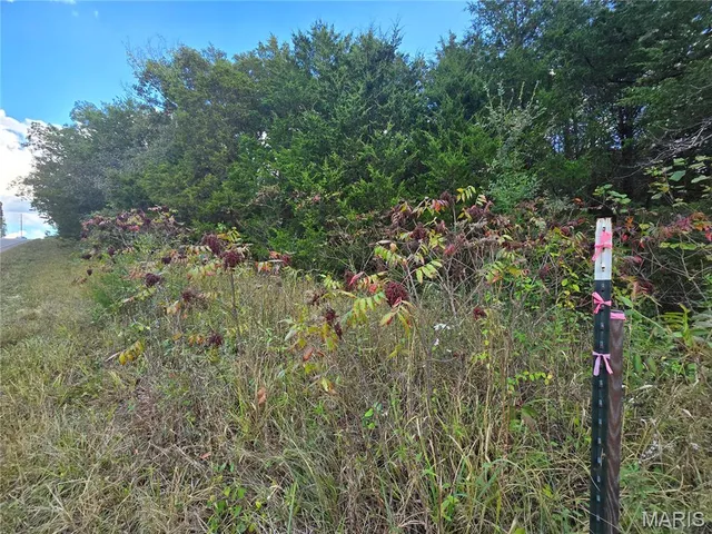 $617,500 | 130 Acres Highway, Cadet, MO 63630