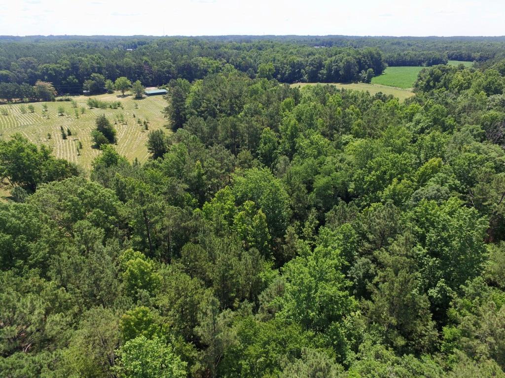 637 Chaptico Road, Unit A South Hill, VA 23970 - Photo 41 of 52 Gallery Image 41
