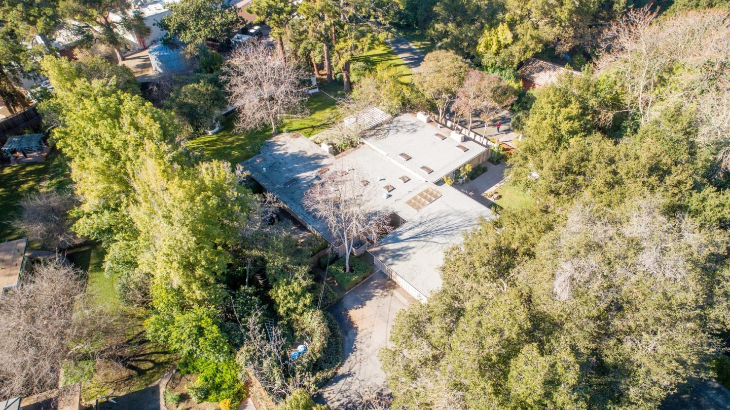 175 Isabella Avenue Atherton, CA 94027 - Photo 34 of 38 a picture of tree