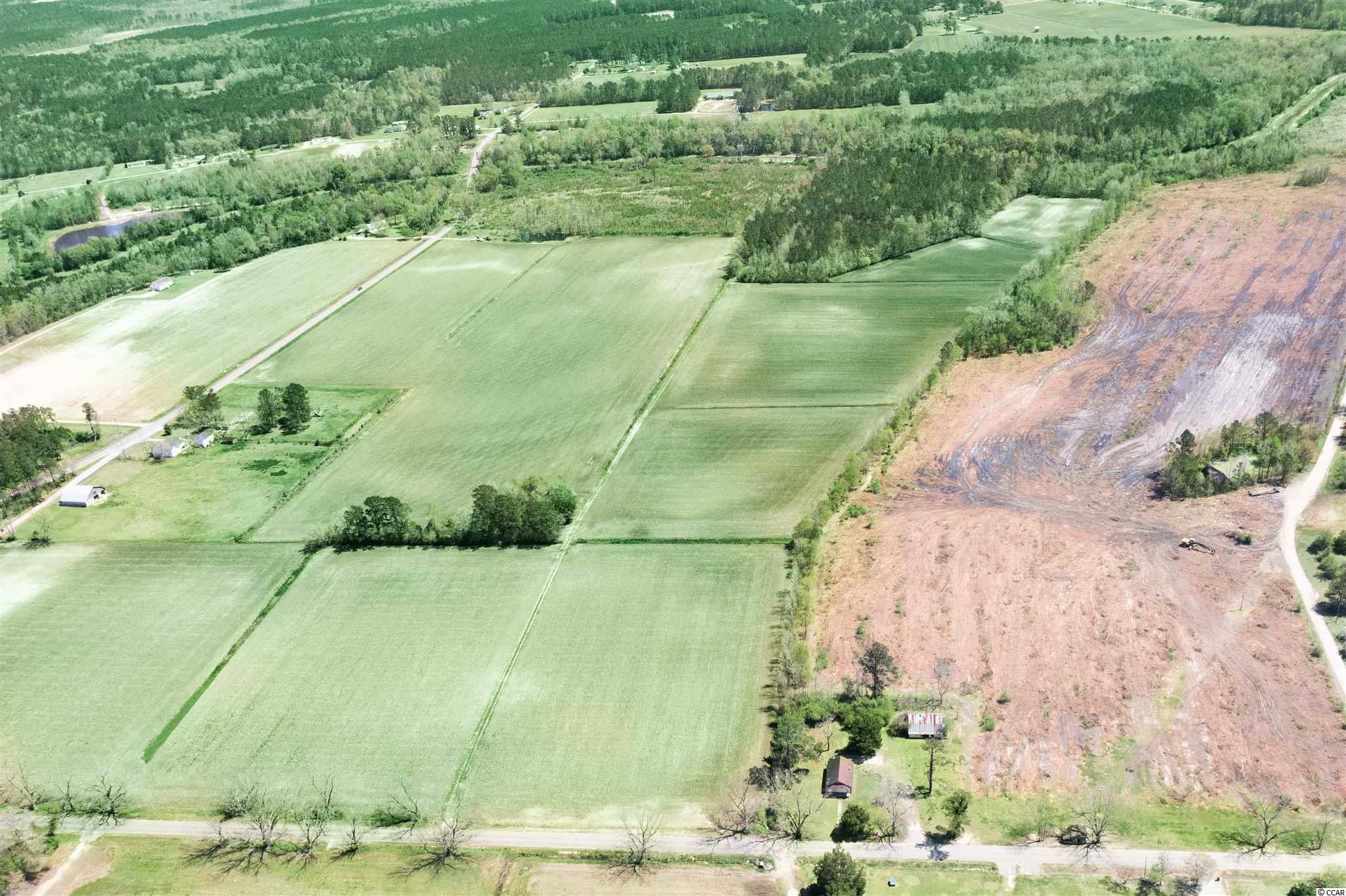 3407 Carter Road Loris, SC 29569 - Photo 3 of 7 Gallery Image 3