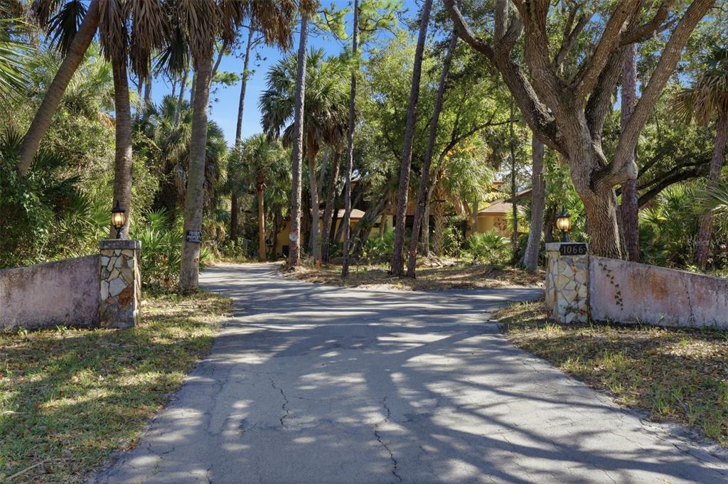 1066 Conover Street Port Charlotte, FL 33952 - Photo 2 of 80 a view of a yard with plants and trees