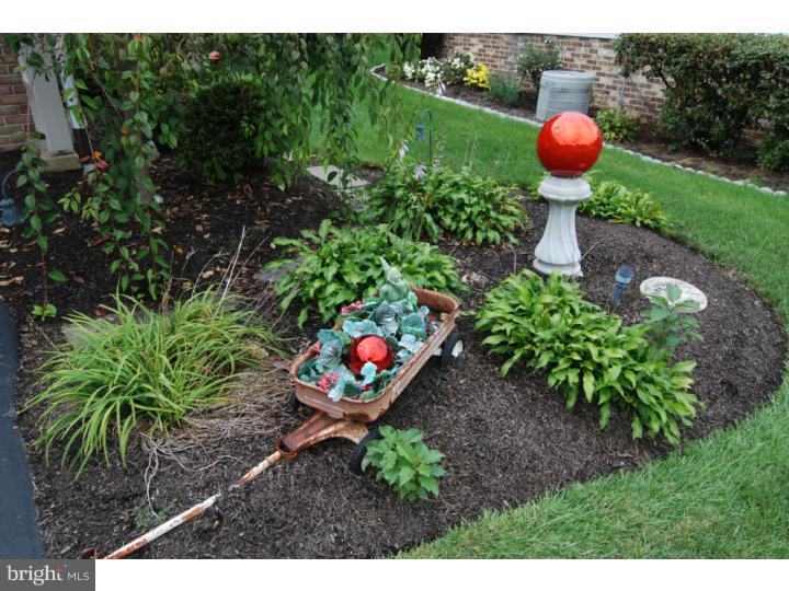 712 North Waverly Street Reading, PA 19607 - Photo 12 of 19 Back Yard