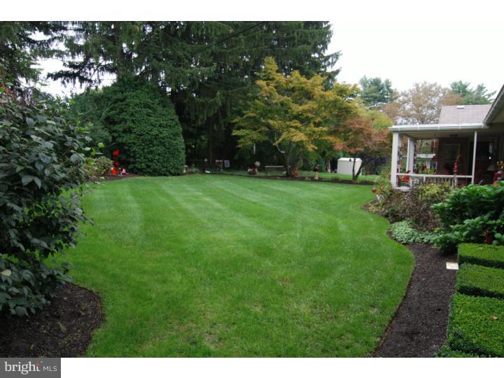 712 North Waverly Street Reading, PA 19607 - Photo 18 of 19 Back Yard